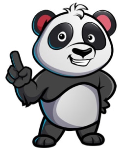 Poolpanda zeigt wie es richtig geht