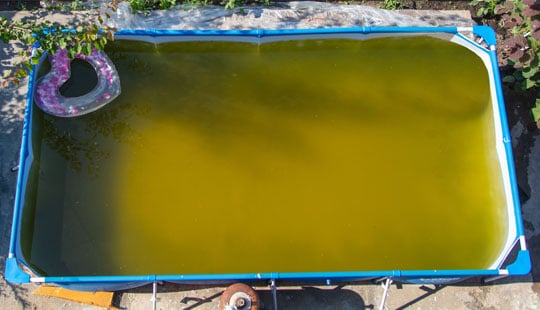 Poolwasser ist braun